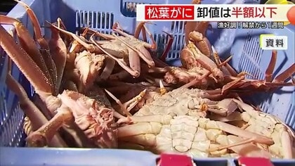 ズワイガニ卸売価格が“半額以下”！山陰の冬グルメを楽しむチャンス　漁が好調…資源管理も結実（鳥取）