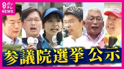 激戦・兵庫選挙区の候補者「SNS選挙」にどう向き合っているのか　「ネットは溝を深めて選挙が終わっても影響が残ってしまう」と菊地弁護士