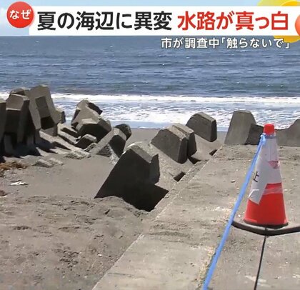 【謎】「手を触れないで」茅ヶ崎の海辺に異変！水路が突然“真っ白”に…簡易調査で有害物質確認されずも注意呼びかけ　神奈川