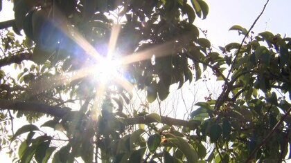 九州は20℃超で4月並みの暑さ　都心も3月上旬並み　横浜でお得なたい焼きに行列　世田谷ボロ市に人殺到「代官餅」は2時間待ち