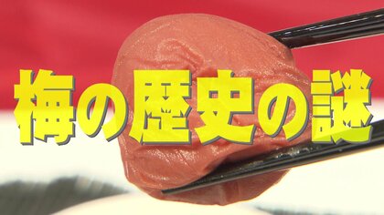 北陸最大級のウメの産地・若狭町　始まりは2人の豪農にあった　180年の歴史の謎を解き明かす【福井発】