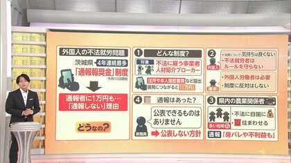 なぜ広がらない？茨城県の“不法就労通報で1万円”新制度　農業現場の“ホンネ”と制度の課題