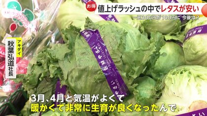 いま「レタス」がお買い得 478品目の“食料品”値上げラッシュの中…5月