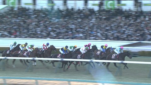 【AJCC&プロキオンS】中山芝&京都ダートで今年初のダブルGⅡ！ダノンデサイルはここから羽ばたきドバイでG1制覇！あとに続くのは？プロキオンSはフェブラリーS・GⅠへと繋がる重要な一戦！