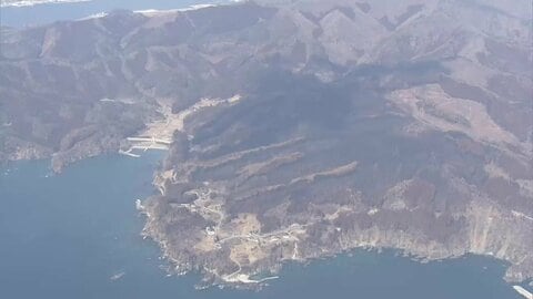 森林再生へ大船渡市が計画案　被災木の伐採や植林など　岩手県