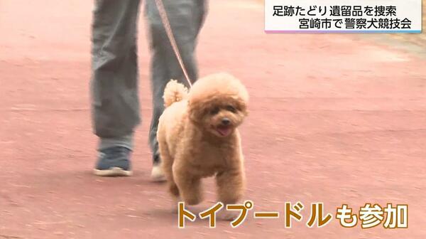 トイプードル警察犬も参加 競技会 行方不明者の捜索や犯罪捜査能力向上