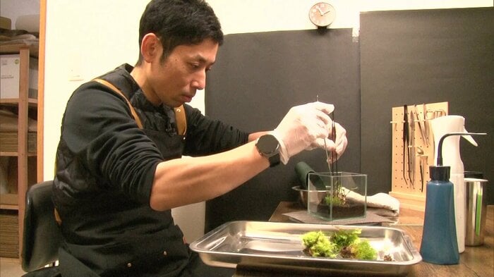 “本業”のコケの仕事の様子