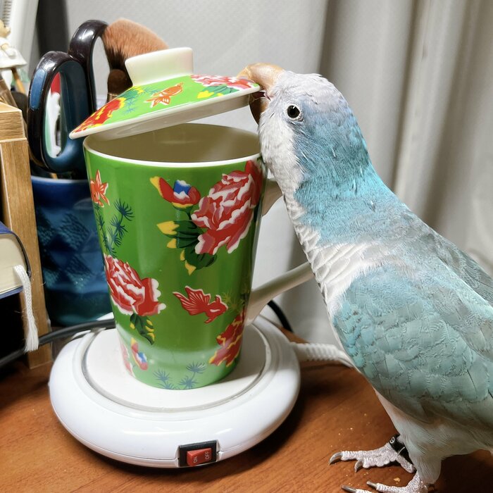投稿の写真