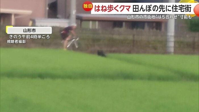自転車に乗った男性とあわや鉢合わせに