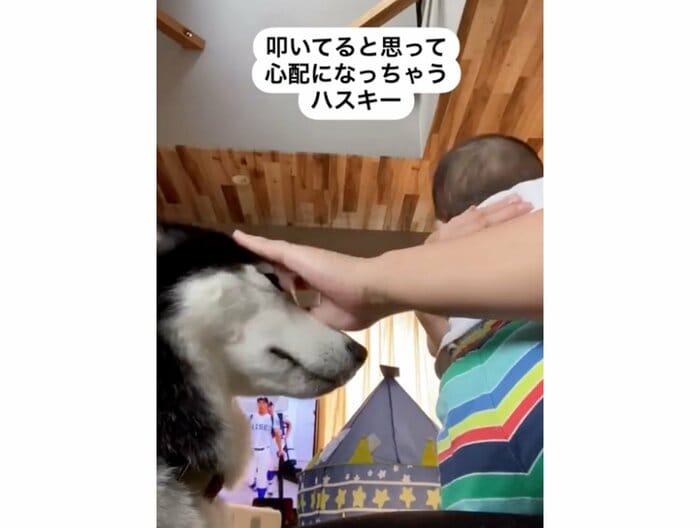提供:akariさん