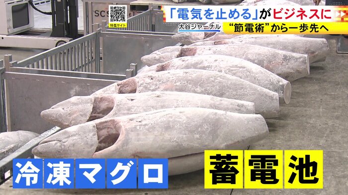 ニュースONE