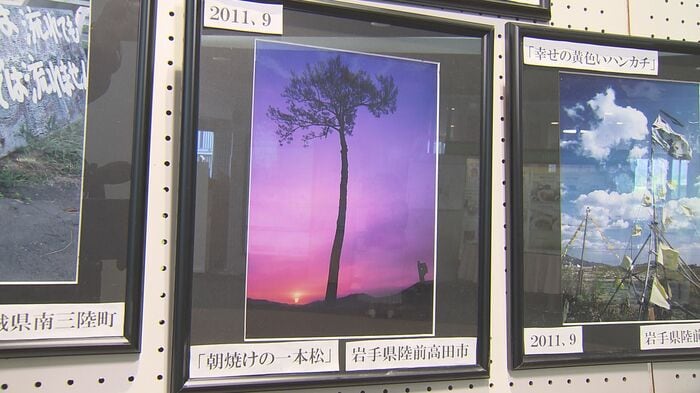 被災地を撮り続ける契機になった一本松