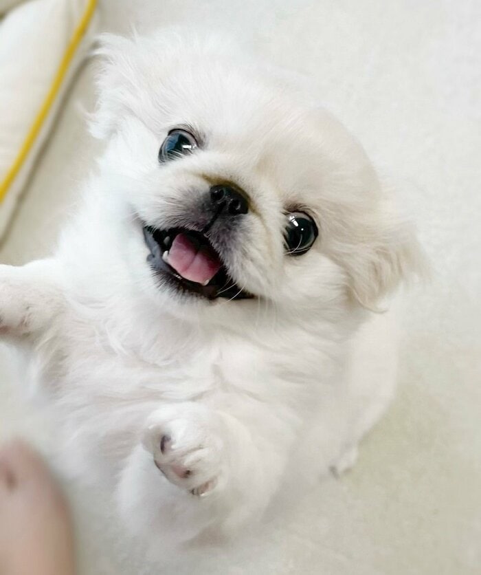 「おかえり~」とお出迎え