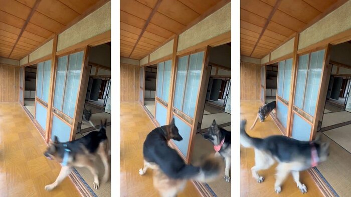 目が合って…
