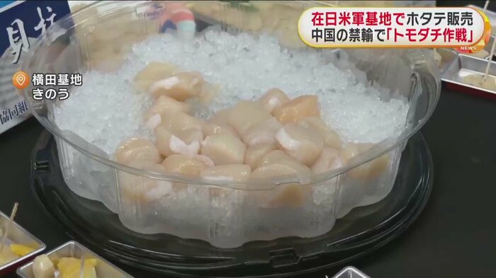 日本産ホタテ