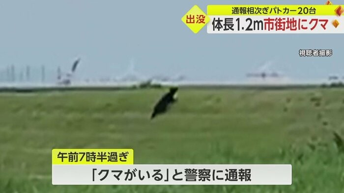 あっという間に、軽々と土手を上っていってしまった
