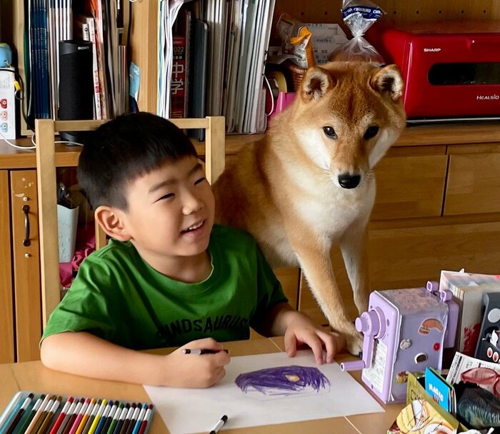 息子さんとむぎまるくん(提供:柴犬勇者むぎさん)