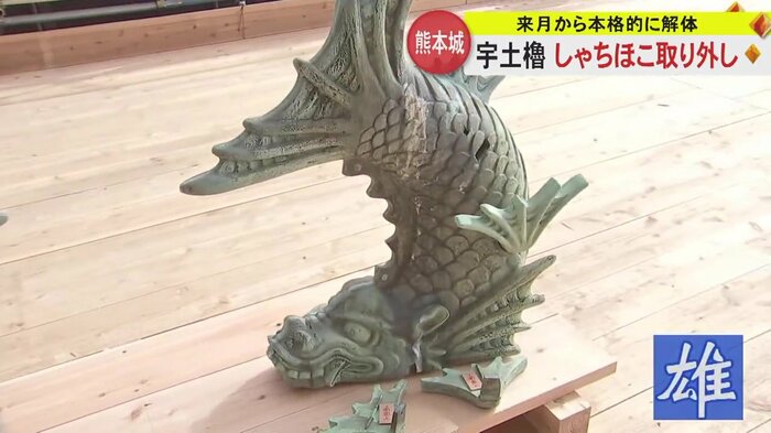 歯が見えている南側の“雄”
