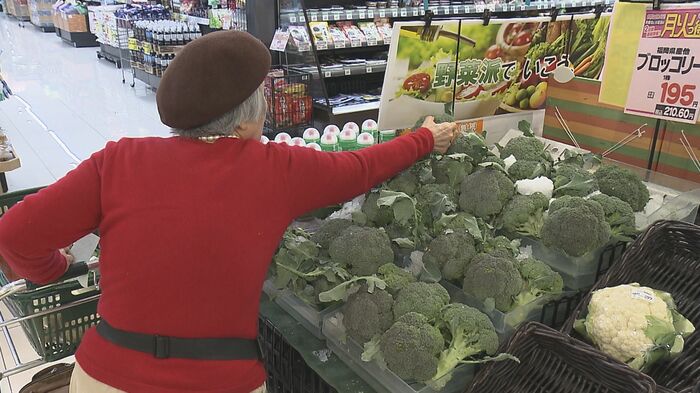 マルミヤストア金池南店