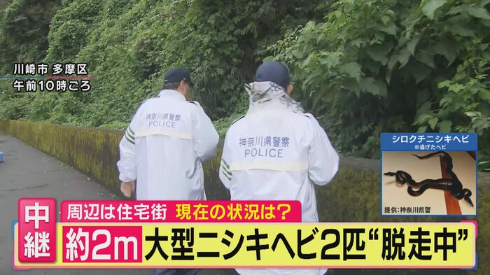 警察と消防が十数人体制で捜索中(関西テレビ「旬感LIVE とれたてっ!」より)