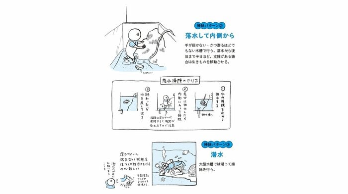 『水族館飼育員のただならぬ裏側案内』(集英社インターナショナル)より