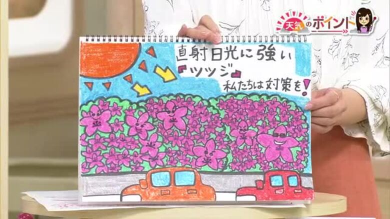 【新潟の天気】日差しが強まる一方で雨雲が発生しやすい状況に？石黒菖気象予報士の解説｜FNNプライムオンライン