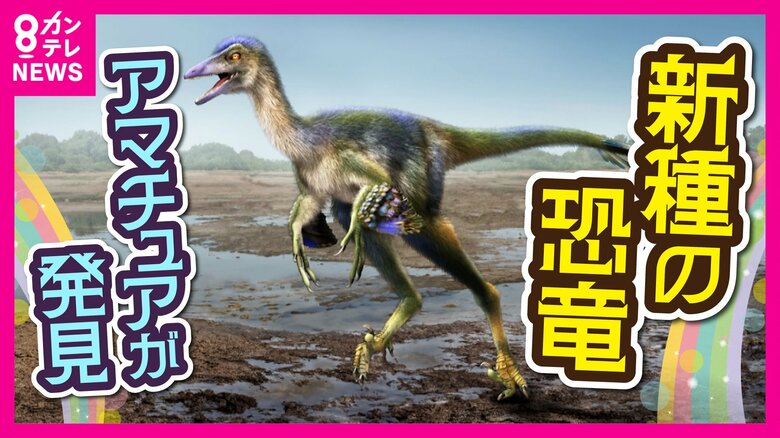 【奇跡の発見】新種「恐竜の化石」　趣味で化石発掘のアマチュアが快挙　「眠る狩人」意味する「ヒプノヴェナトル」と名付け｜FNNプライムオンライン