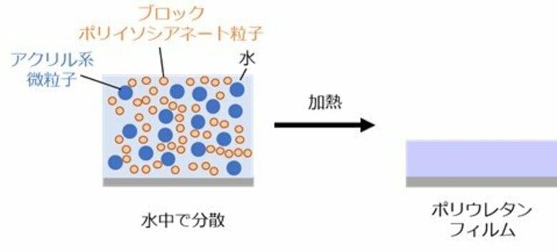 【大阪工業大学】水系ポリウレタンフィルム形成の仕組みを解明 環境にやさしい塗料や接着剤への応用に期待