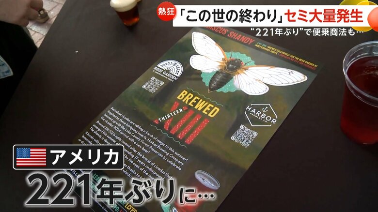 「この世の終わり」「セミゲドン」2種類のセミが同時に大量発生　“221年ぶり”で便乗商法も　アメリカ・イリノイ州｜FNNプライムオンライン