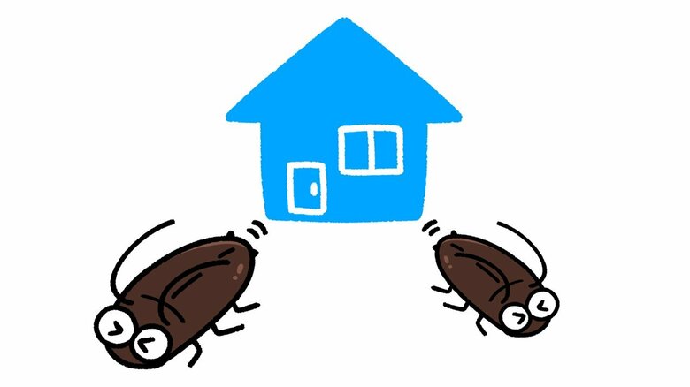 「ゴキブリ対策は秋が肝心」って誰が言ったの？秋に本気を出しても遅い理由と家でゴキを見なくなる徹底駆除方法【戸建て編】｜FNNプライムオンライン