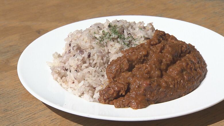 「もしも」の時でも健康維持を　栄養素強化したレトルトカレーを学生が考案　商品化目指す【岡山・岡山市】｜FNNプライムオンライン