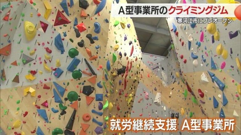 障害者スタッフが活躍「A型事業所」のクライミングジムが登場　日本最大級の高さ約17メートルの壁が特徴【山形発】｜FNNプライムオンライン
