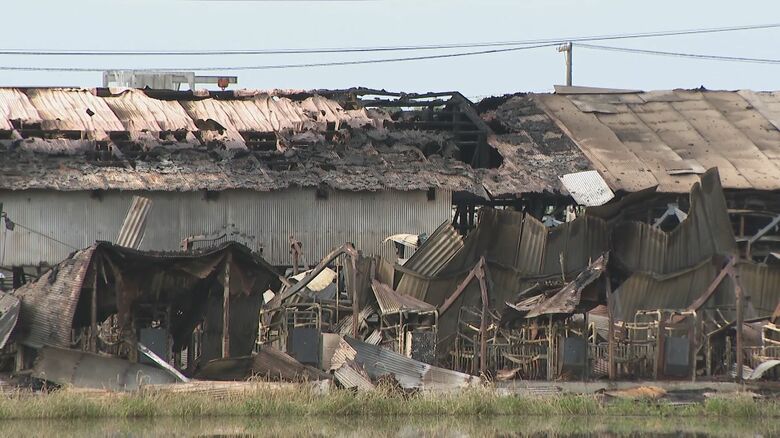 豚400匹程が焼け死ぬ…養豚場で火事 豚舎1棟が全焼しほかの3棟の一部も焼ける 暖房用のヒーターを使用｜FNNプライムオンライン