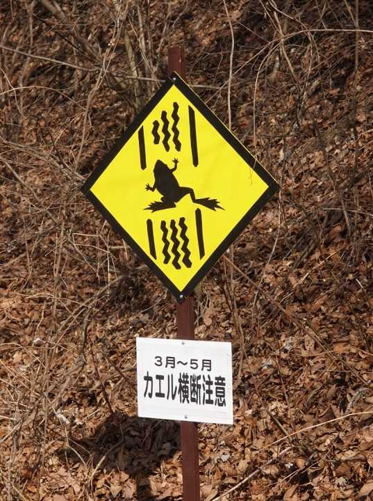 提供:ピッキオ
