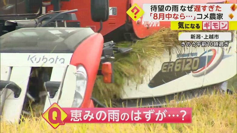 急ピッチで収穫を行うコメ農家