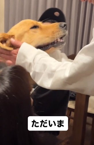 大満足な顔のスーシーちゃん