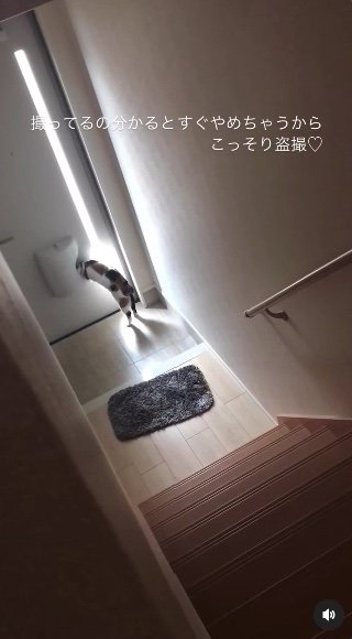 提供：kiyokoさん