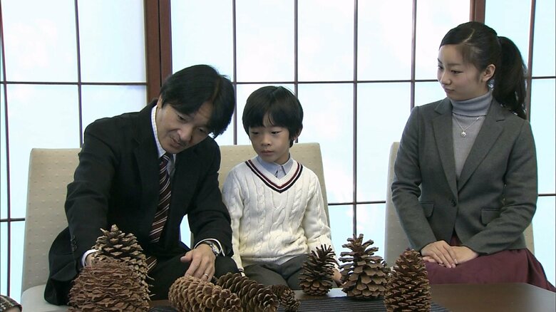 平成16（2014）年11月　秋篠宮さま49歳の誕生日にあわせ公開された映像