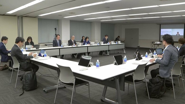 美容医療の適切な実施に関する検討会　2024年11月