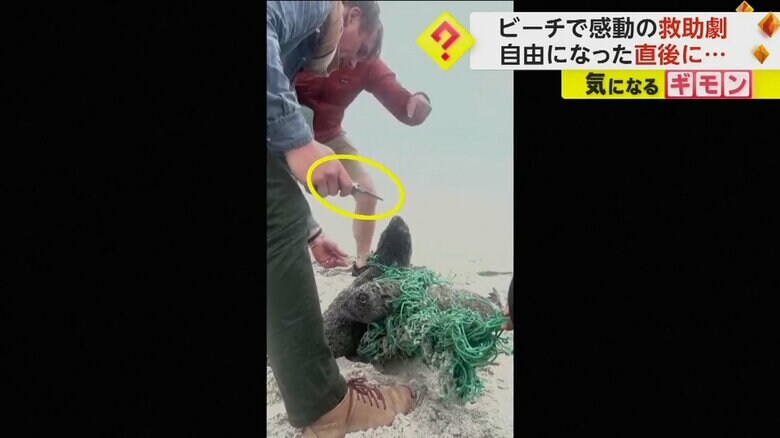 海水浴客の男性がナイフを出す