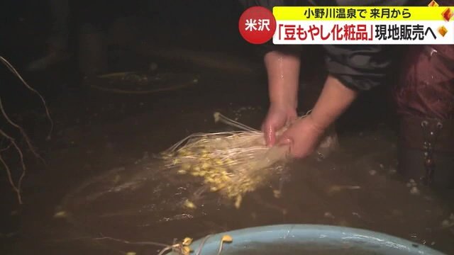 小野川温泉で「豆もやし」を育てる様子
