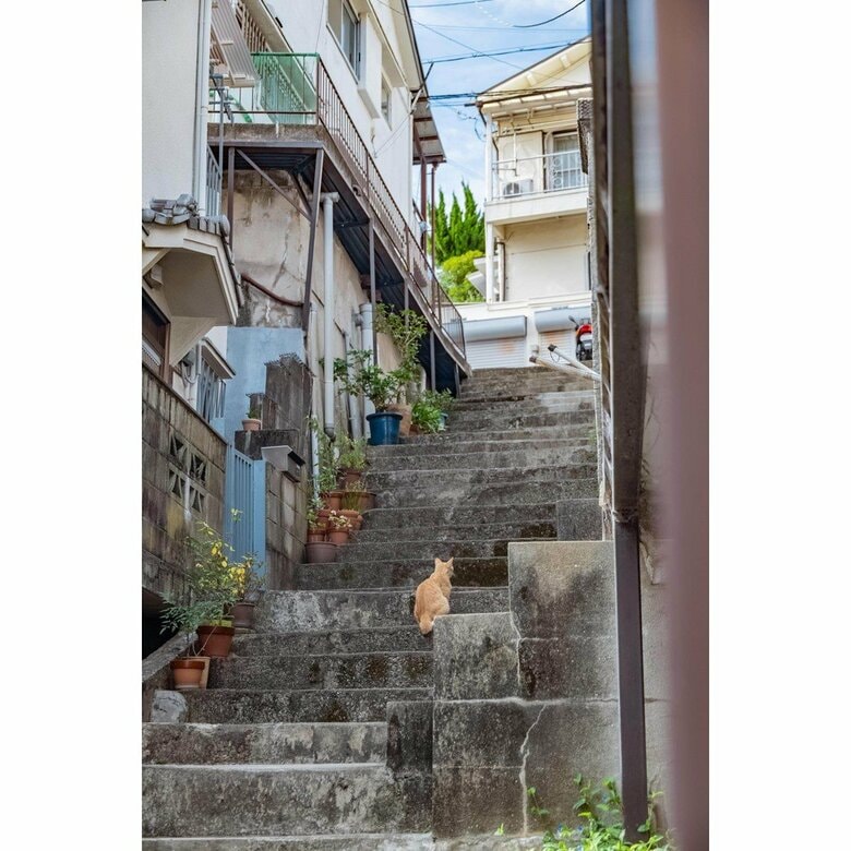 兵庫県神戸市長田区堀切町（2023年9月撮影）