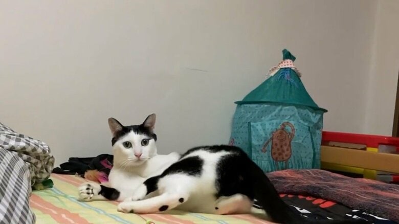 カメラを見てベッドでくつろいでいる