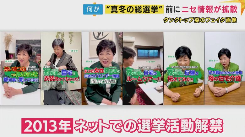 2013年に解禁されたネットでの選挙活動