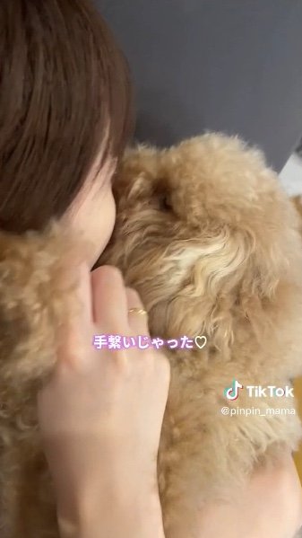 提供：ピン太郎ママさん