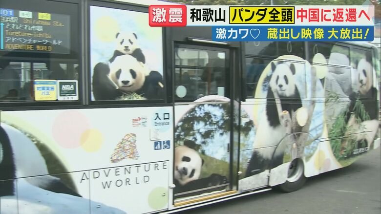 パンダだらけの町