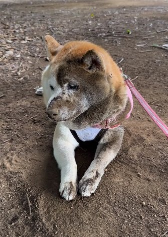 満足気？反省の顔？