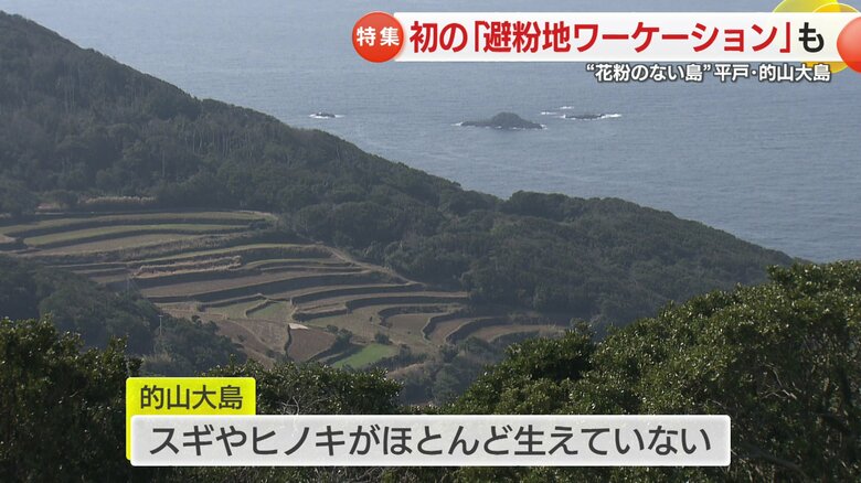 花粉症の症状が治まる理由は