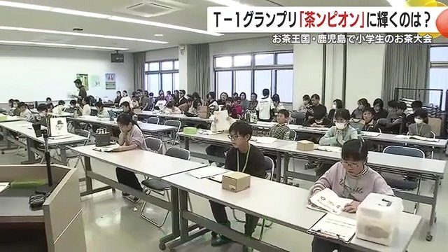 鹿児島県内の小学4～6年生、計29人の「茶レンジャー」たちが挑戦！