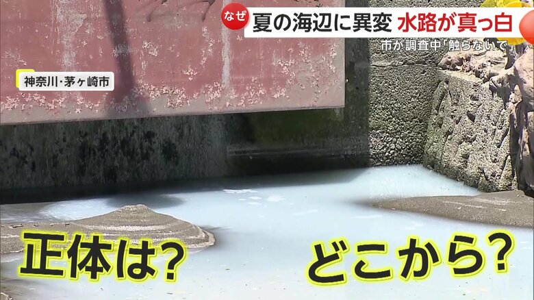 正体は何なのか、どこから流れてきたのか謎が深まっている白い水